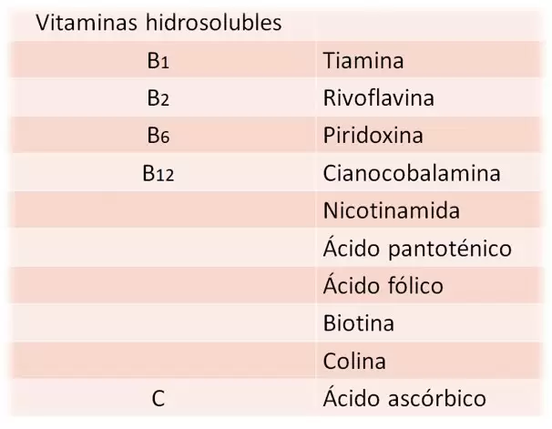 Vitaminas hidrosolubles pequeñas y gigantes a la vez