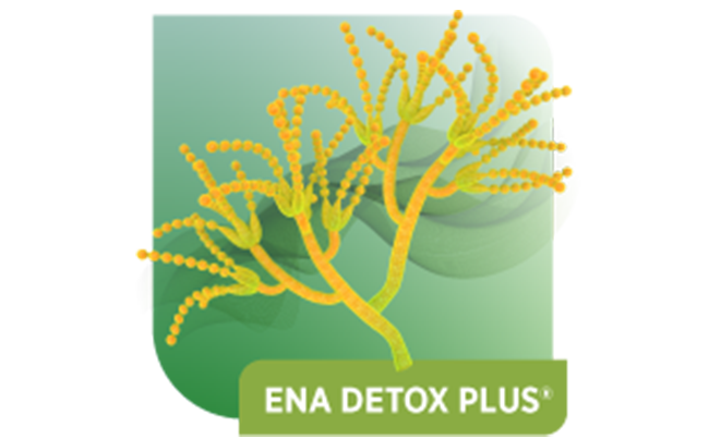ENA Detox Plus<sup>®</sup>