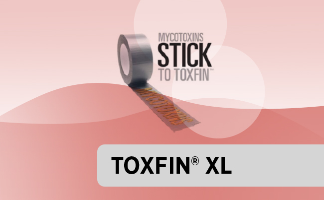 TOXFIN<sup>™</sup> XL