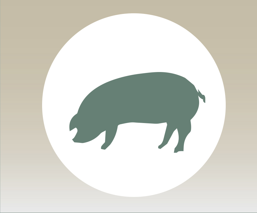 Importancia de las propiedades funcionales de la fibra dietética en dietas para cerdos destetados