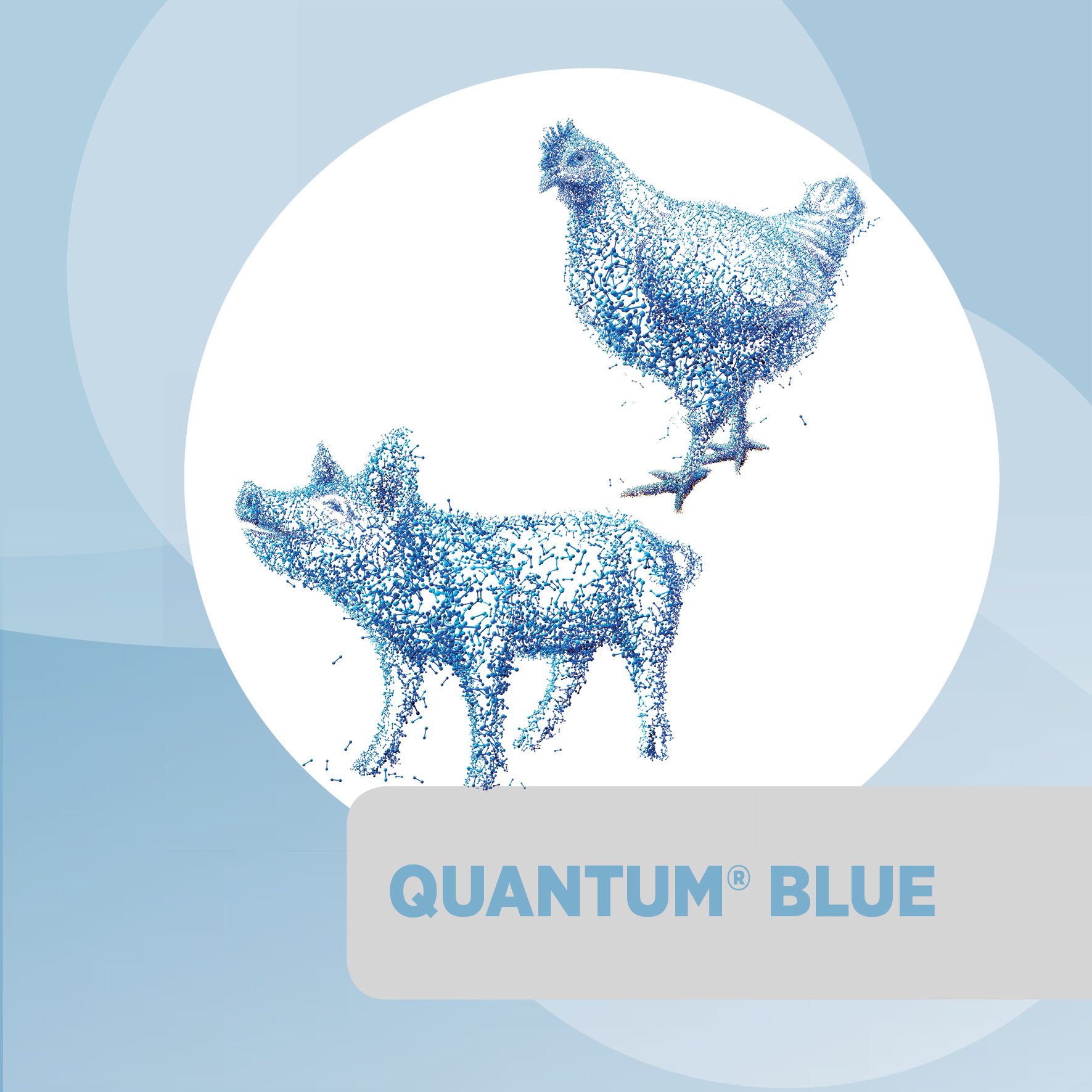Quantum<sup>®</sup>Blue