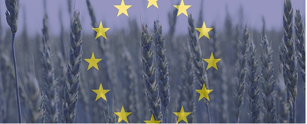 ¿Qué efectos comerciales tendrá la nueva normativa europea sobre OGMs?