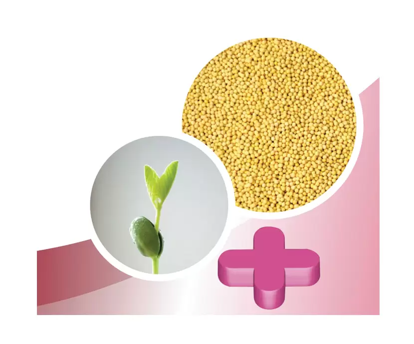 Las carbohidrolasas mejoran el valor nutricional de la harina de soja