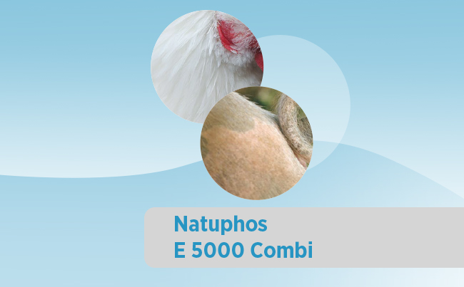 Natuphos E5000 Combi