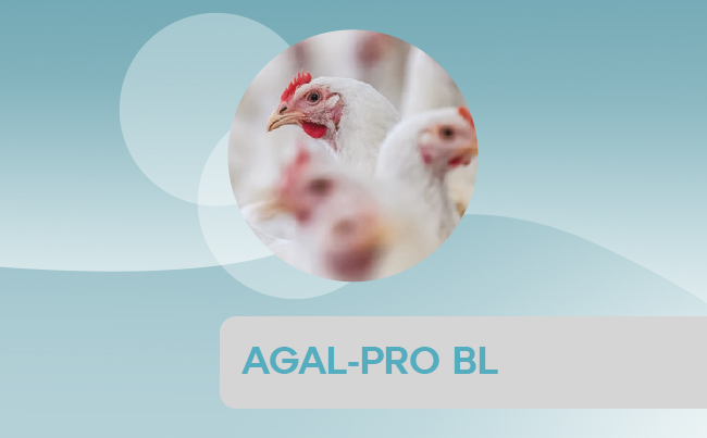 Agal Pro BL