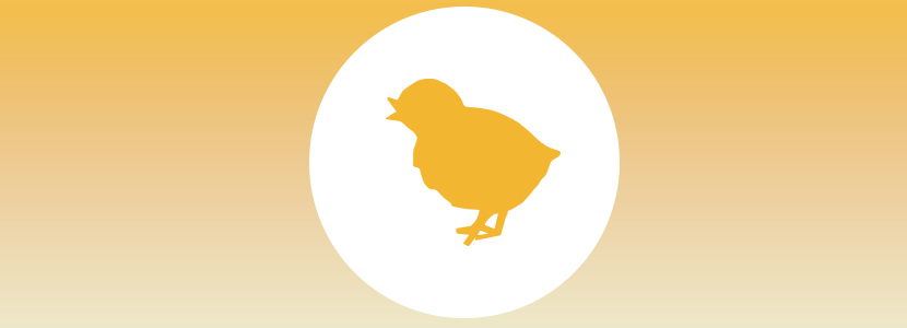 Autorizado el uso de cantaxantina como aditivo en piensos para gallinas reproductoras (Reglamento 684/2014)
