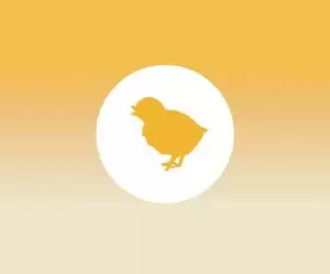 El uso de las cenizas de la gallinaza de pollos de engorde como sustituto del fosfato bicálcico en los piensos