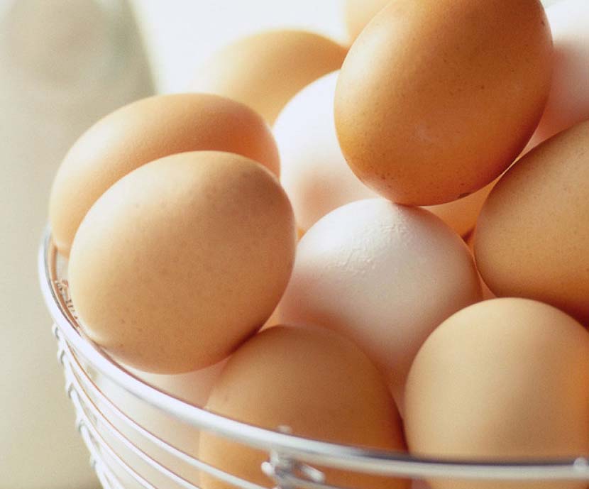 Las gallinas alimentadas con bellotas dan huevos con más Omega 3