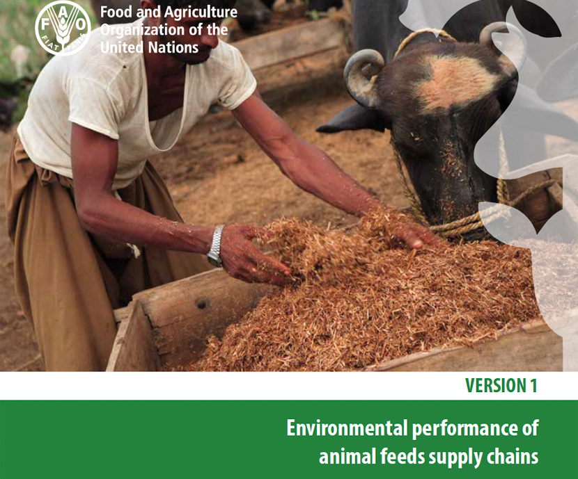 FAO publica la primera guía de evaluación ambiental de la industria de piensos