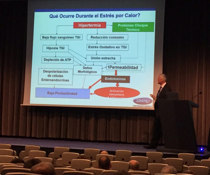 Zinpro celebra su VII Seminario Feet First en España nutriNews, la