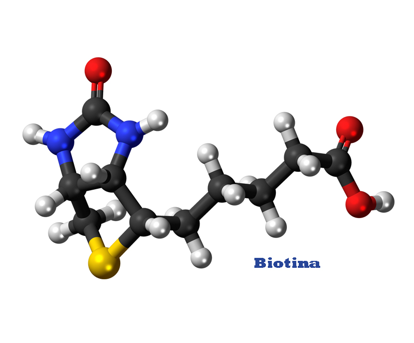 La UE autoriza la Biotina como aditivo en alimentación animal