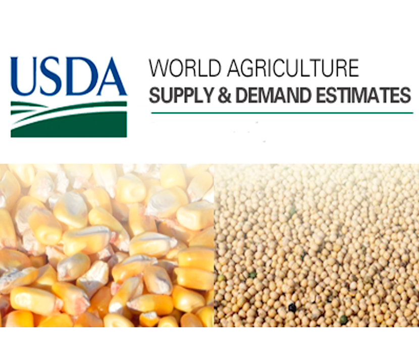 USDA publica sus previsiones para la campaña de cereales 2015