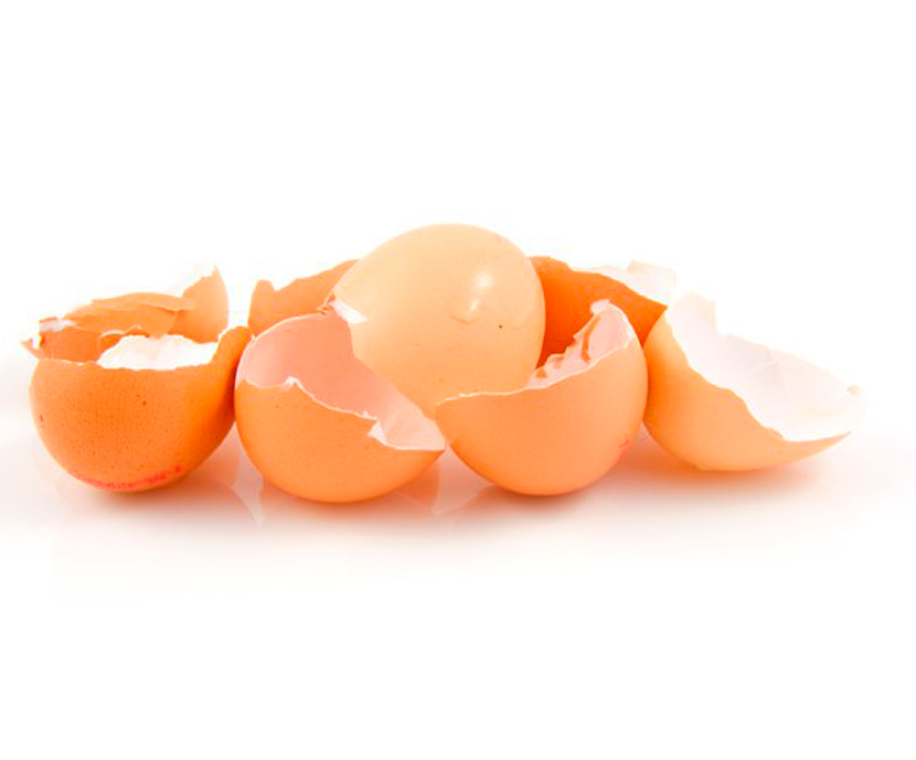 Eco-SHELL : la extracción de materias primas de la cáscara de un huevo