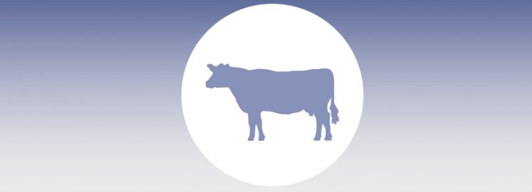 Evaluación del efecto de la composición sobre el costo de alimento