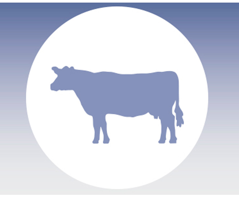 Mejora de los rendimientos de producción de vacas de leche durante períodos de calor