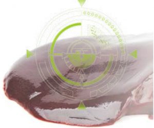 Biomarcadores – Herramienta útil para el control de las micotoxinas