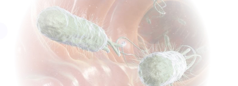 Niveles de resistencia a antibióticos en la microbiota intestinal