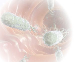 Cómo abordar la resistencia a los antibióticos en porcino
