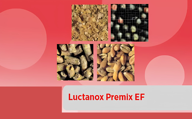 Luctanox<sup>®</sup><br>Premix EF