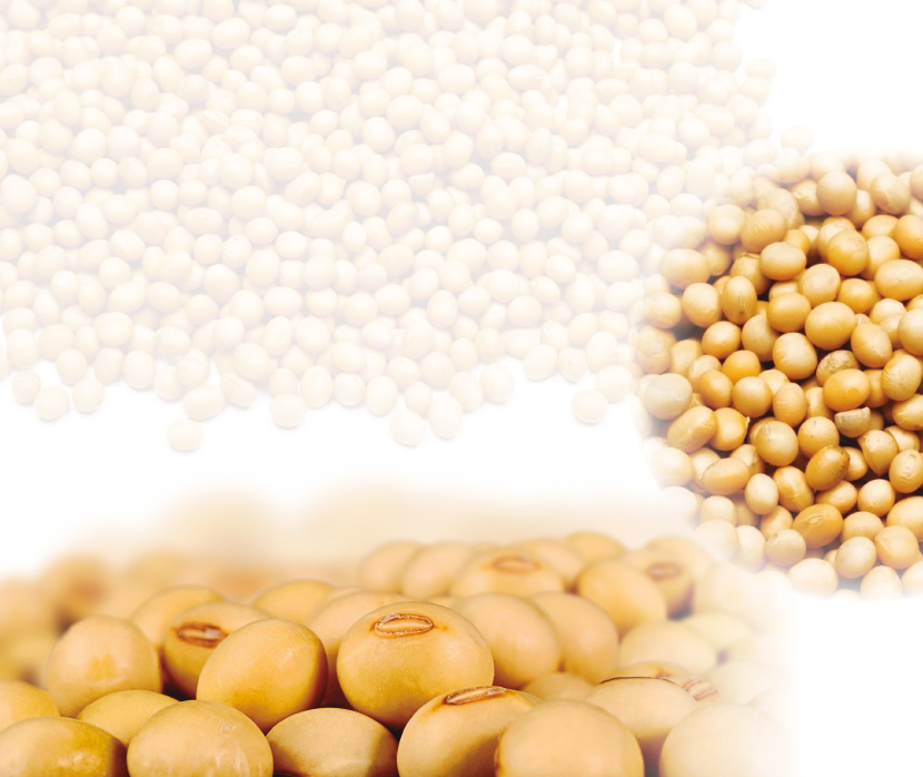 La importancia actual de los factores antinutricionales de la soja