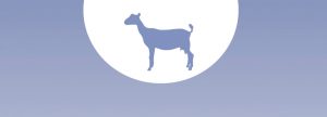 Cabras lecheras: cómo influye su dieta en las emisiones de metano