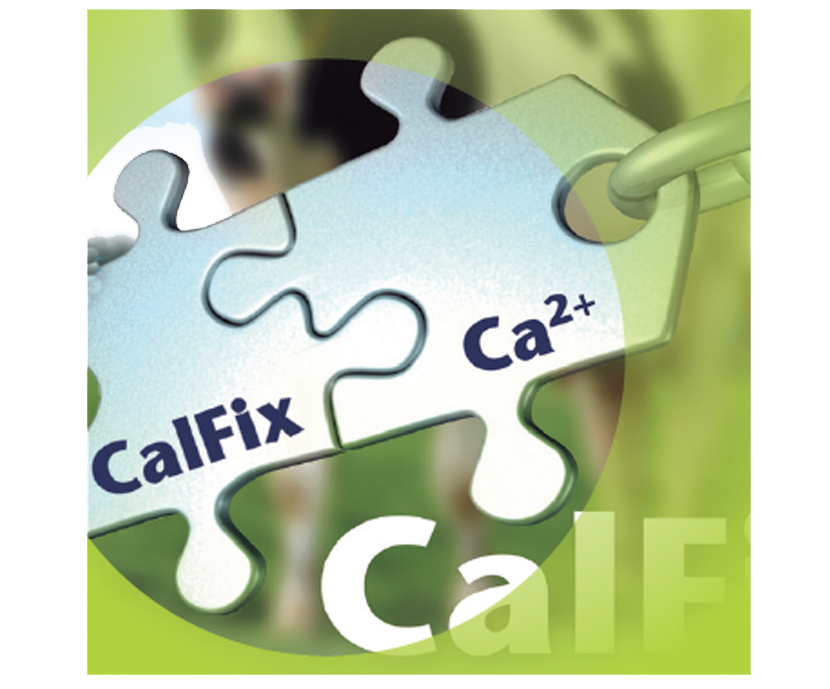 CALFIX concentrate de Trouw Nutrition