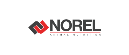 Norel