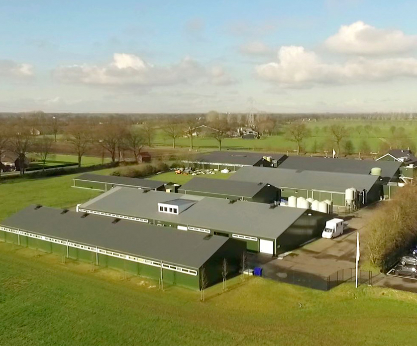 Trouw Nutrition abre un nuevo centro de investigación de terneros de recría y de producción de carne en Holanda