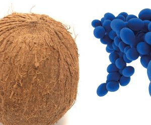 Ácido láurico y glicerol monolaurato: aditivos de futuro para reducir el uso de antimicrobianos en las granjas modernas de porcino