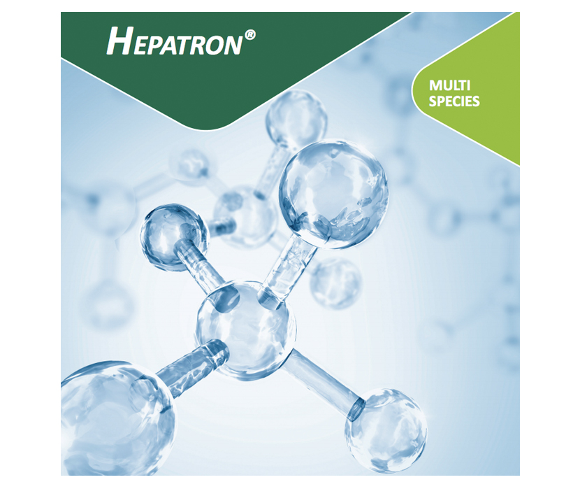 Hepatron<sup>®</sup>Betain 33% liquid