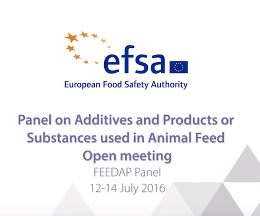FEEDAP emite un dictamen científico sobre el cobre en la alimentación animal