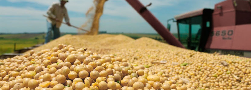 Mais da metade da água captada no Brasil é usada para irrigação na agricultura