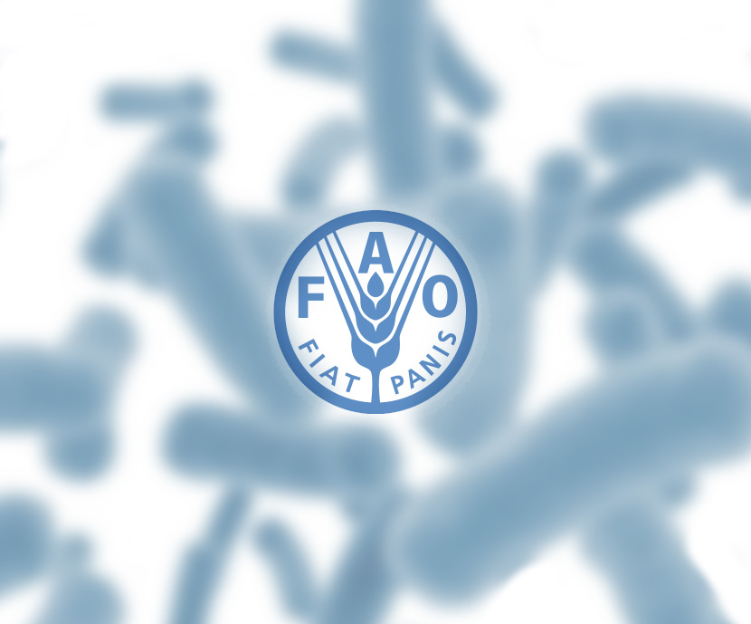 Informe de la FAO sobre probióticos