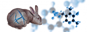 Micotoxicosis en cunicultura