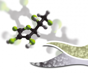 Micotoxinas, problemática de la prevención