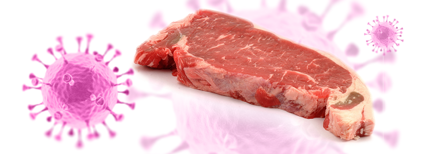 Presencia de micotoxinas en carne y productos cárnicos