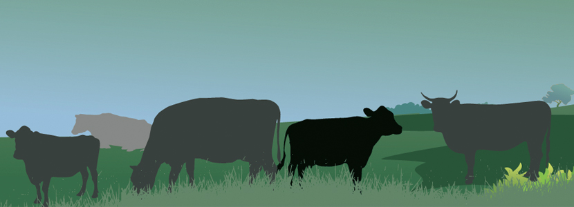 Intoxicación accidental por taninos en bovinos: un caso real