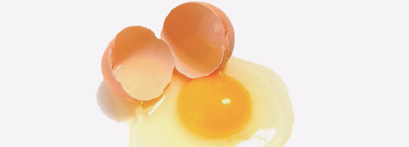 Cómo mejorar la calidad de huevo