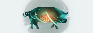 Epigenética y nutrición: cuando lo que come un animal salta una generación