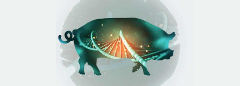 Epigenética y nutrición: cuando lo que come un animal salta una generación