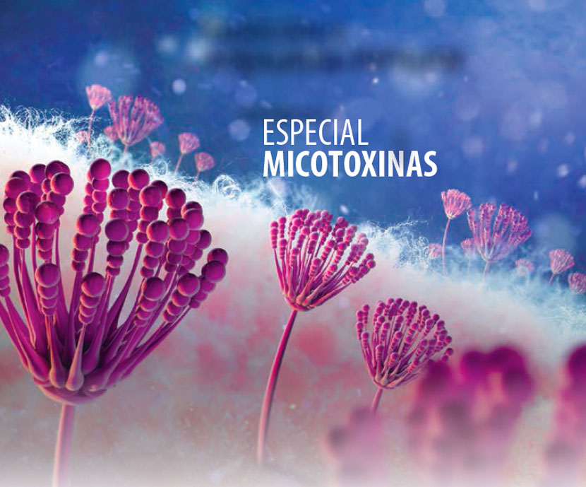 Monográfico Micotoxinas 2016
