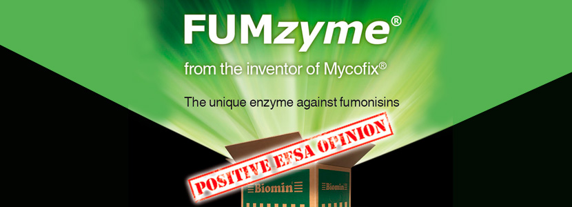 EFSA da luz verde al uso de FUMzyme® en piensos...