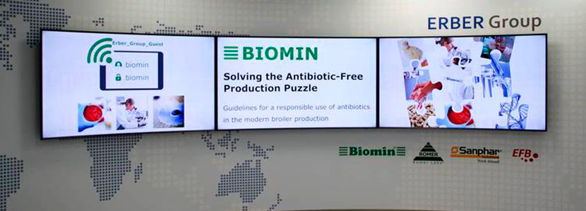 Solucionando el rompecabezas de la producción libre de antibióticos