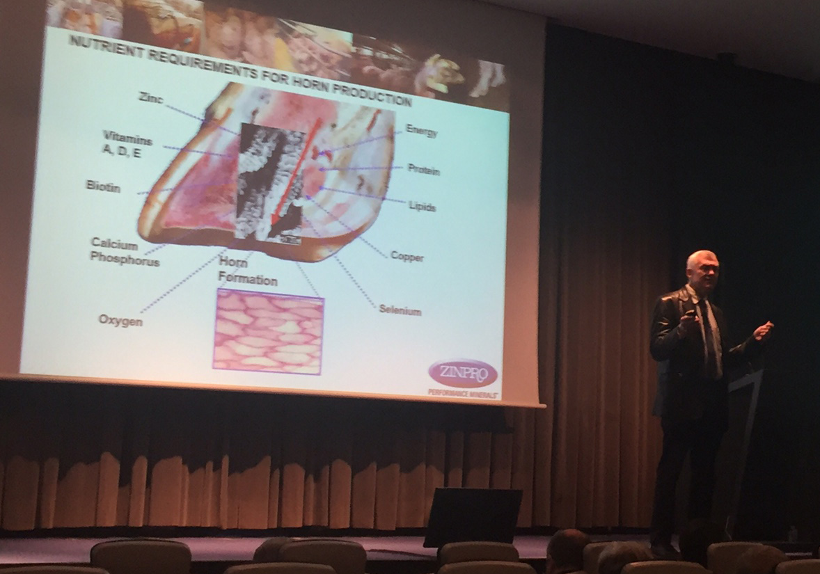 IX Seminario Feet First de Zinpro Epigenética y Nutrición