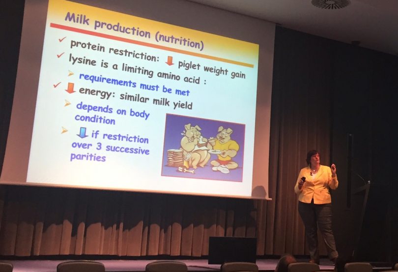 IX Seminario Feet First de Zinpro Epigenética y Nutrición