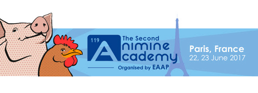 Paris, 22 y 23 de junio: Segunda Academia Animine