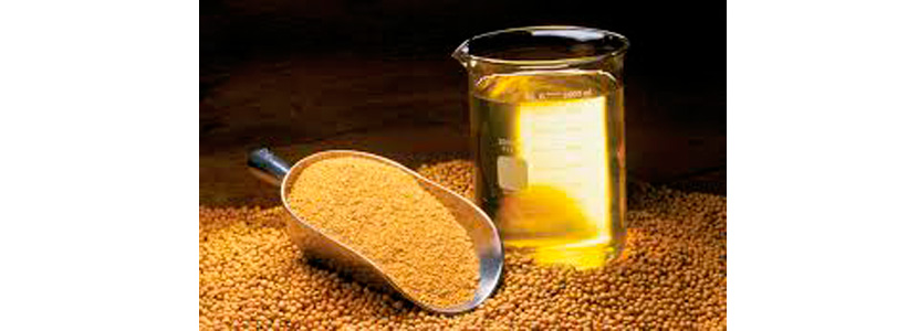 UE Balance protein 2015/2016 , la gran dependencia a la importación de harina de soja