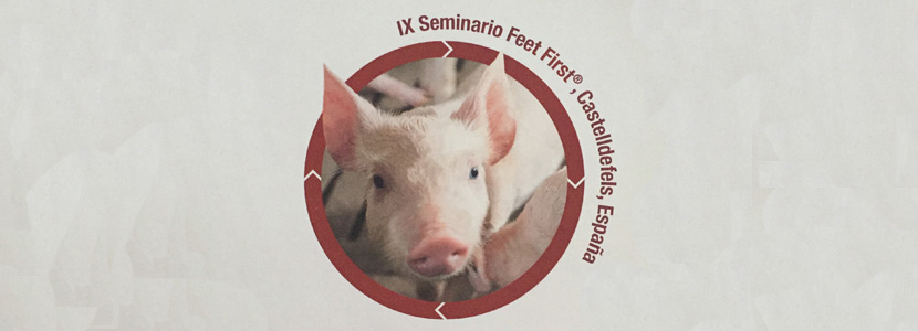 IX Seminario Feet First de Zinpro : Epigenética y Nutrición transgeneracional en porcino