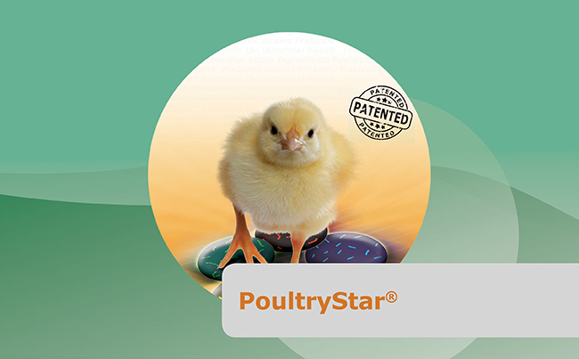 POULTRY STAR<sup>®</sup>