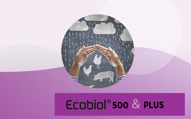ECOBIOL 500 & ECOBIOL Plus